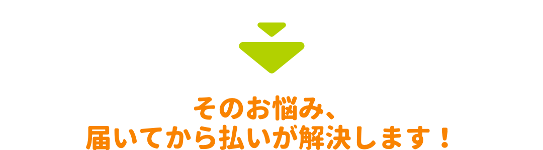 後払いで、クレジットカード・スマホ・キャリア決済が使える